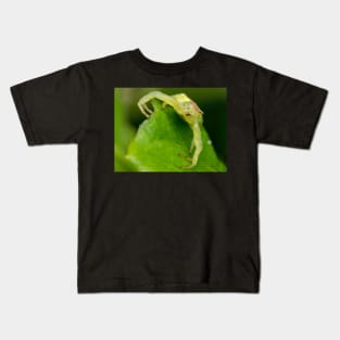 Unique and organic photo of a crab spider Kids T-Shirt